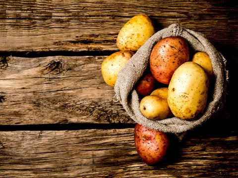 Potato