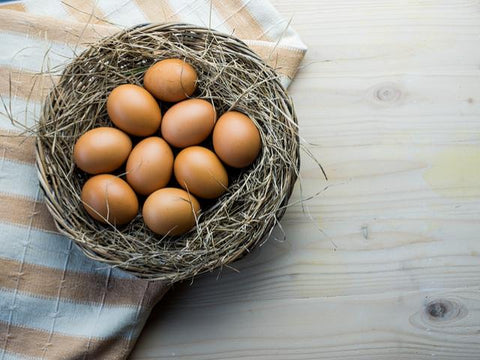 Egg -Brown