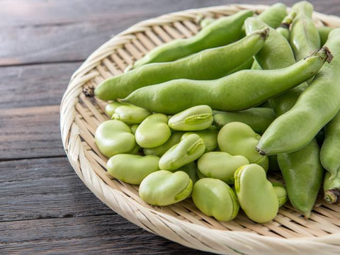 Broad Beans (Chikudkaya)