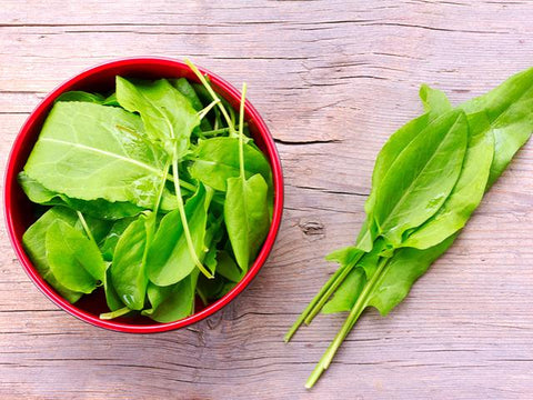 Sorrel Leaf