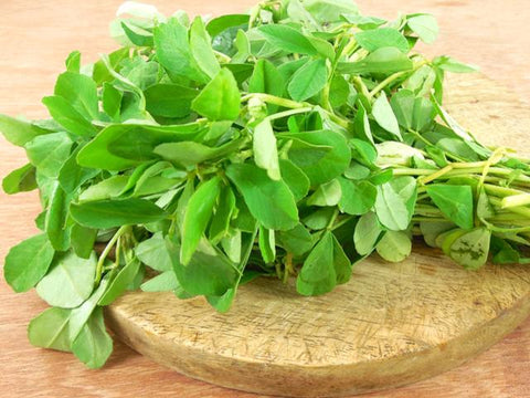 Fenugreek
