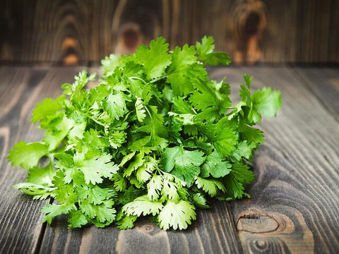 Coriander