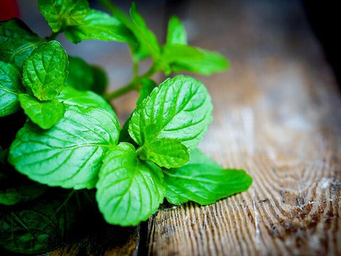 Mint