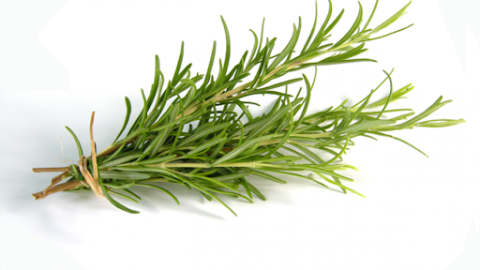 Rosemary