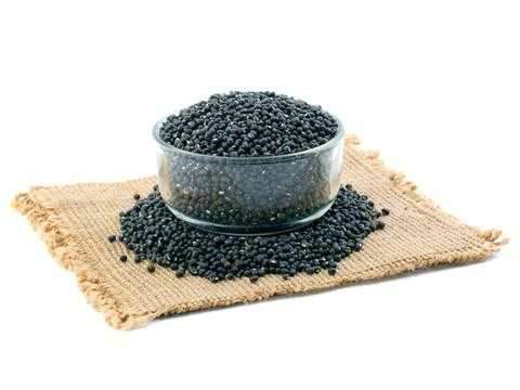 Urud Dal