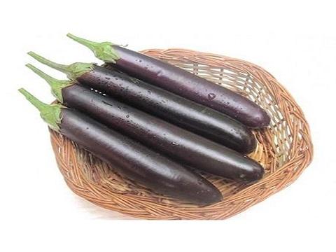 Brinjal Long