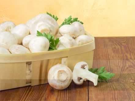 Button Mushroom