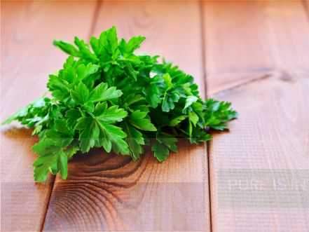 Celery