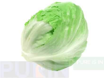 Lettuce Ice Berg Ball