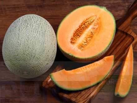 Muskmelon