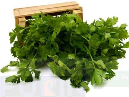 Parsley