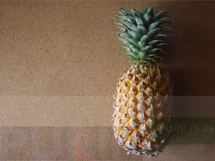 Pineapple