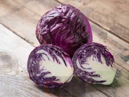 Red Cabbage