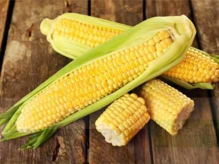 Sweet Corn