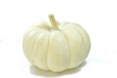 Pumpkin White